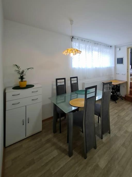 Apartma Juli Zirovnica Exterior photo